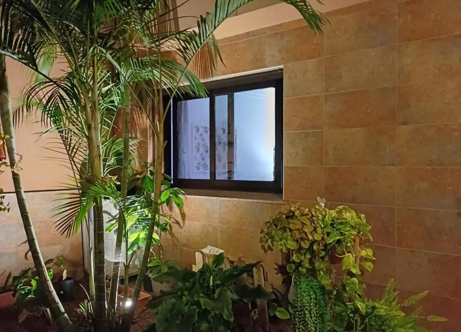 Appartement Viajeros à La Laguna  La Laguna (Tenerife)